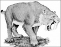 Smilodon.jpg