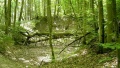 Vorschaubild der Version vom 15:38, 28. Jul. 2006